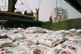 Bon signe des exportations nationales de riz vers certains marchés