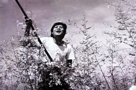 En Inde, Doordarshan célèbre la magie du cinéma vietnamien