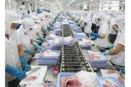 Poissons-chats: 57 producteurs vietnamiens s’assurent des normes d'export aux Etats-Unis
