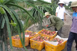 Promotion du commerce des produits agricoles, sylvicoles et aquatiques Vietnam-Australie