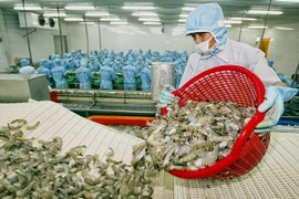 Brexit : tendance à la baisse des exportations de crevettes du Vietnam 