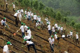 Honda Vietnam finance un projet de boisement à Bac Kan