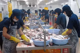 Le Vietnam apprécie l’adoption par le Sénat américain de la fin des contrôles de pangasius 