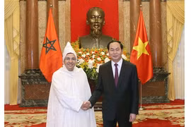 Le président du Vietnam reçoit de nouveaux ambassadeurs