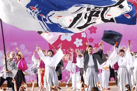 La coutume du Hanami célébrée à Dà Nang