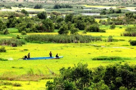 Gestion écologique réussie au parc national d’U Minh Thuong