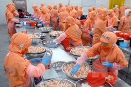Augmentation possible des exportations de crevettes cette année 