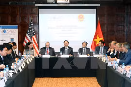 APEC 2017: Tran Dai Quang rencontre le vice-président indonésien et des sociétés américaines
