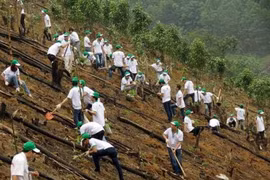 Honda Vietnam finance un projet de boisement à Bac Kan