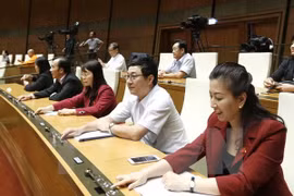 L’AN adopte la résolution sur le plan de développement socio-économique pour 2017