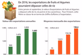 Les exportations de fruits et légumes pourraient dépasser celles de riz