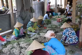 Des acquis dans la restructuration agricole