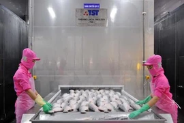 De nombreux potentiels pour les investisseurs vietnamiens en Asie centrale