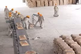 Le SCG renforce son investissement au Vietnam 