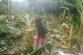 Dons des Vietnamiens à l’étranger aux sinistrés du Centre