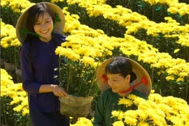 Cai Mon ou l’âme de la floriculture du delta du Mékong
