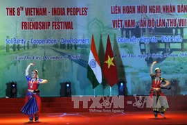 Le 8e Festival d'amitié populaire Vietnam-Inde à Can Tho