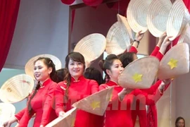 La Journée des femmes vietnamiennes célébrée au Mozambique