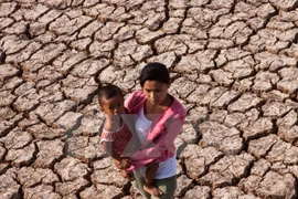 L’adaptation au changement climatique, une urgence pour le delta du Mékong