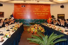 Renforcement de la recherche des restes des volontaires vietnamiens au Laos