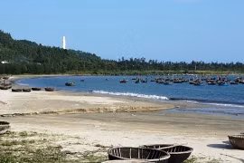 Pour protéger les écosystèmes forestiers et côtiers de la ville de Dà Nang