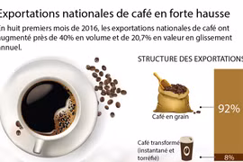 Exportations vietnamiennes de café en forte hausse