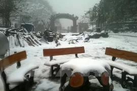 Au Nord, le bourg de Sa Pa se pare de son manteau blanc