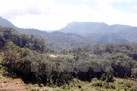 Aide de la JICA pour le développement de la Réserve mondiale de biosphère de Lang Biang 