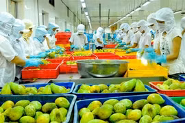 Les exportations de fruits et légumes pourraient atteindre 2,6 milliards de dollars cette année