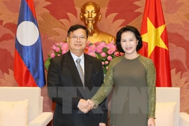 Renforcement des relations de coopération législative Vietnam-Laos