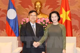 Renforcement des relations de coopération législative Vietnam-Laos