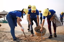 Nam Dinh: Préparation de la Semaine maritime et insulaire du Vietnam 2016