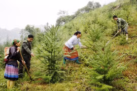 Un projet foncier profite à 8 millions de membres d'ethnies minoritaires