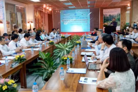 Les intellectuels Viêt kieu contribuent à l'innovation dans le pays