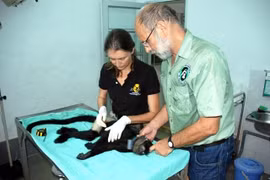 Coopération internationale dans la protection de l’environnement