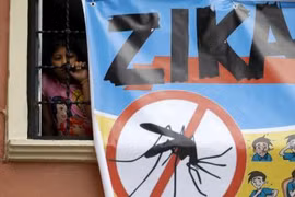 Aucun cas de virus Zika détecté à Ho Chi Minh-Ville