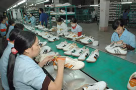 Bond des exportations vietnamiennes en Belgique 