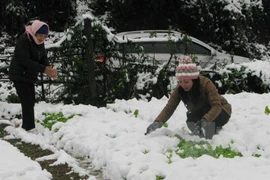 Sa Pa en hiver 