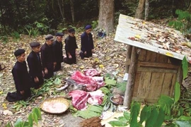 Le Génie de la forêt, un culte entre histoire et magie
