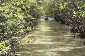 Hô Chi Minh-Ville : de grands potentiels inexploités 