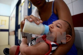 Les Vietnamiens recommandés de ne pas aller dans les pays touchés par le virus Zika