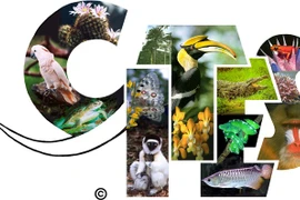Arrêt provisoire des activités liées au CITES avec le Laos