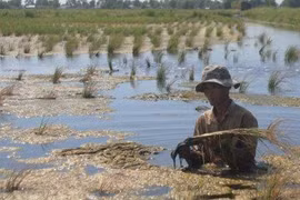 Approbation d’un projet d’approvisionnement en eau potable de 286 millions de dollars à Bên Tre