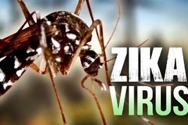 Renforcement des mesures de prévention et de lutte contre Zika