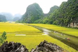 Le tournage du film américain Kong : Skull Island est à Ninh Binh