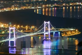 Da Nang : de nombreuses festivités pour saluer le Nouvel An