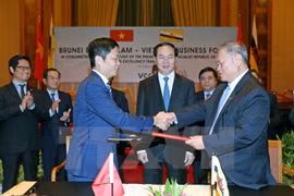 Forum d'affaires Vietnam-Brunei 