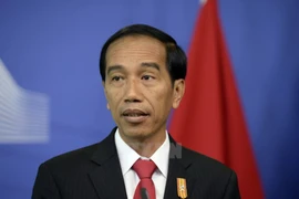 L'Indonésie tient en haute estime les relations ASEAN-Japon 