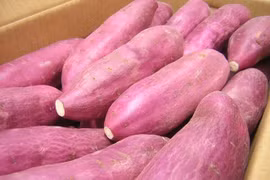 Singapour : les patates douces cultivées au Vietnam sont sûres 