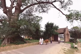 Originalité de la culture villageoise vietnamienne